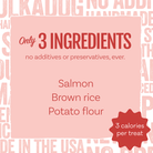 Salmon Says Bone Shaped Crunchy Salmon Dog Treats-Boats n Barks