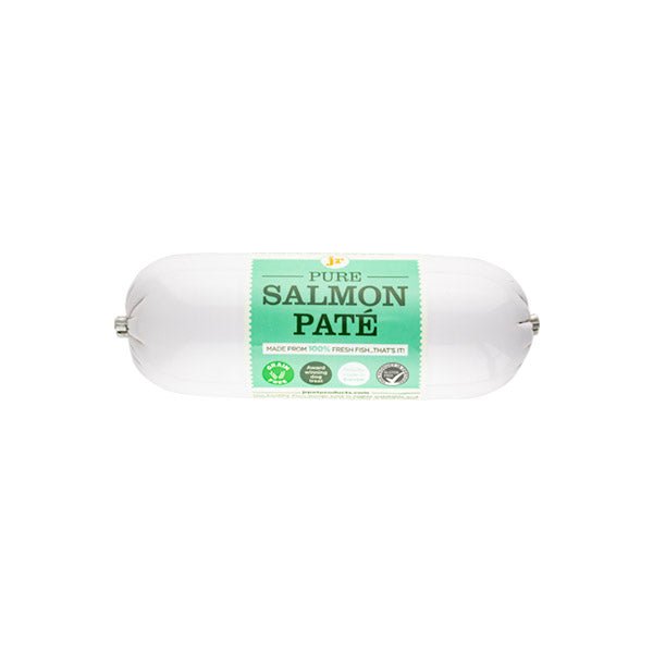 JR Pet Products UK Salmon Pate 100% Pure Meat for Dogs 400g