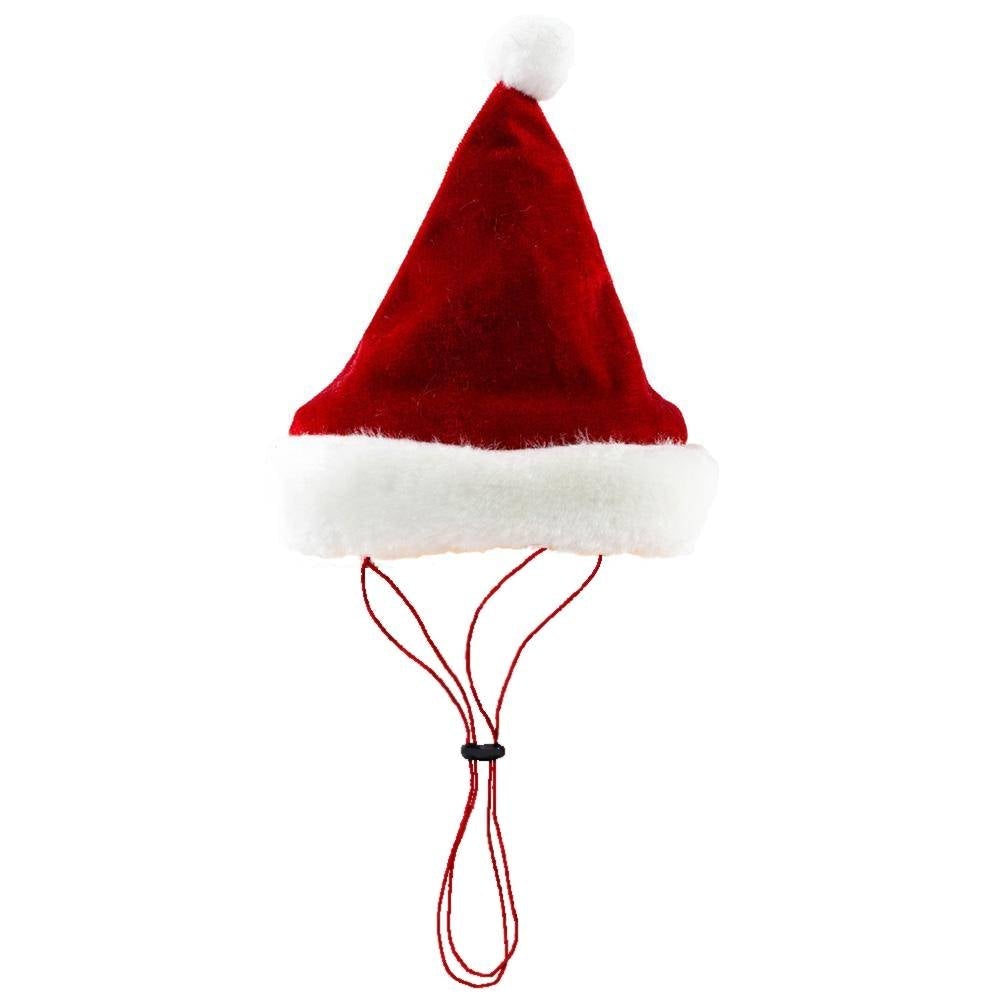 Christmas Santa Hat for Dogs-large