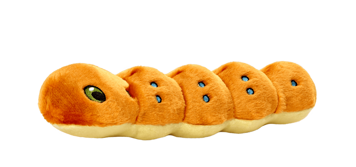 Fluff & Tuff Spicy Caterpillar Soft Dog Toy with Squeaker Machine Washable-Boats n Barks