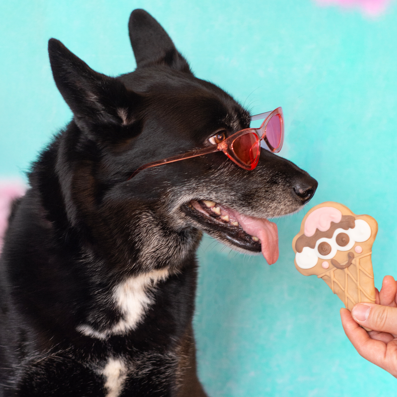 Neapaw-litan Ice Cream Cone Cookie for Dogs