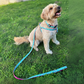 Bermuda Dog Lead on Pink