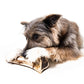 Bison Marrow Bone 6-8" for Dogs  100% Natural-Smoke Free, Chemical Free