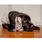 Fluff & Tuff Walter Wabbit - Large Plush Dog Toy