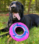Baydog Wave Skipper Floating Frisbee for Dogs-Boats n Barks