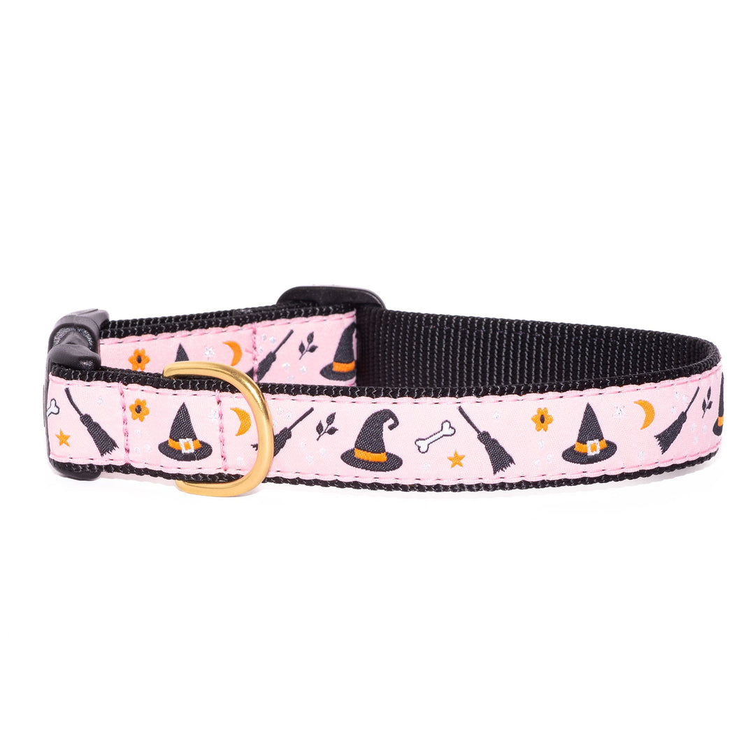 Halloween Witchy Poo Dog Collar by Up Country