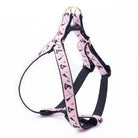 Halloween Witchy Poo Dog Harness by Up Country-Boats n Barks