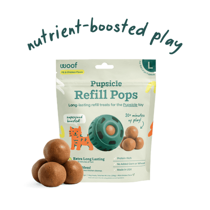 Woof Dog Treat Chicken & Peanut Butter Pupsicle Pops For Dogs