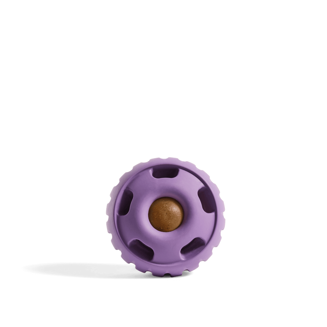 Woof Dog Toy Pupsicle For Dogs Lavender