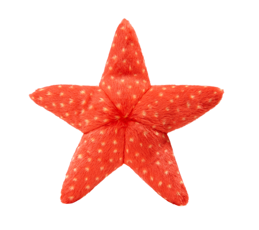 Fluff & Tuff Ziggy Starfish - Medium Plush Dog Toy