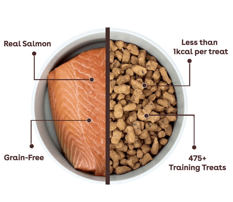 Freeze Dried Salmon Training Treats for Dogs by Pupford-Boats n Barks