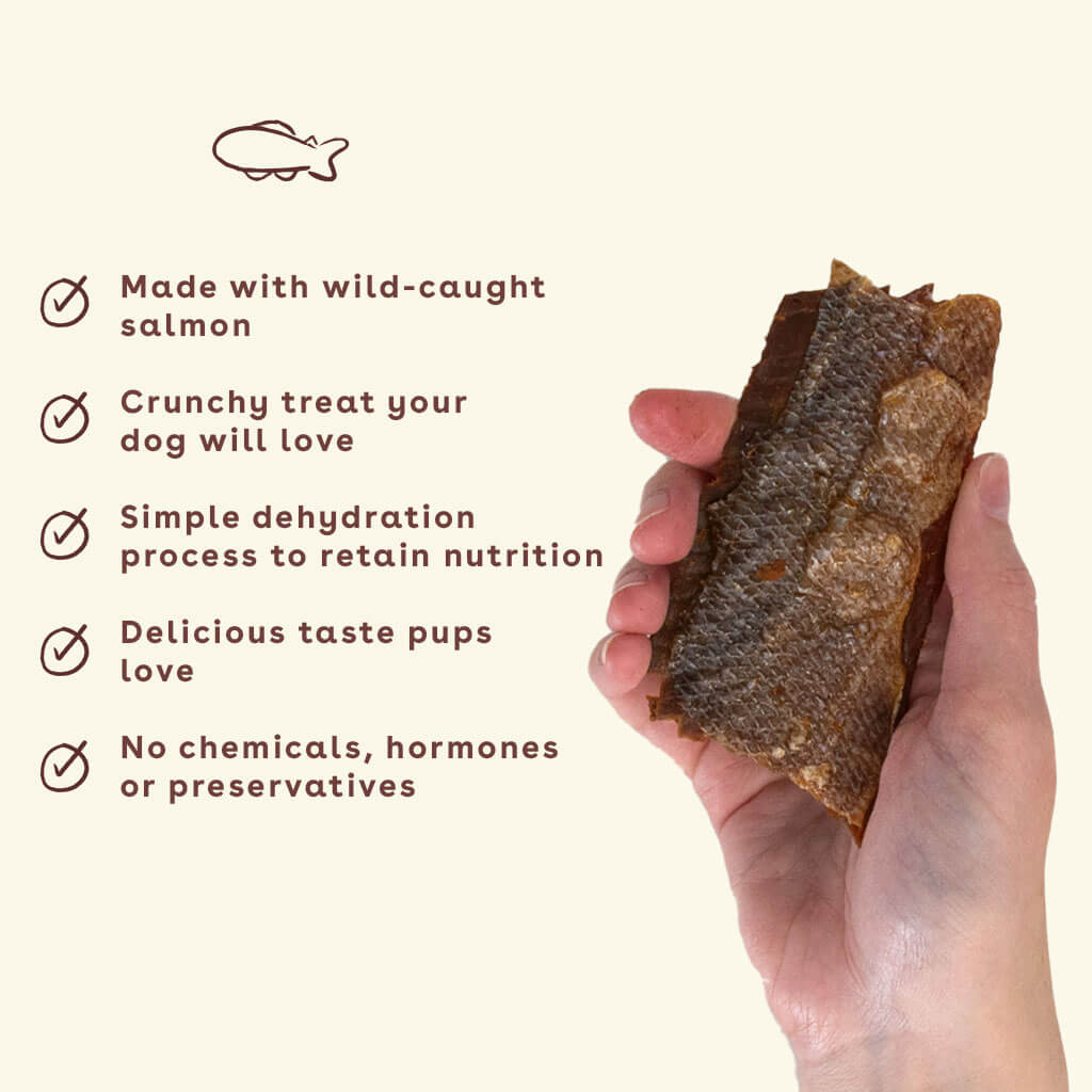 Crunchy Salmon Jerky Treats for Dogs by Pupford