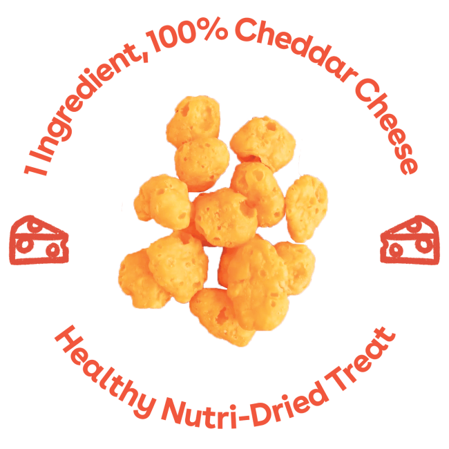 Cheddar Cheese Crunchies Treats for Dogs by Pupford