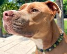 Dainty Paws Beaded Dog Necklace Collar Waterproof and Odor Resistant-Camo-Boats n Barks