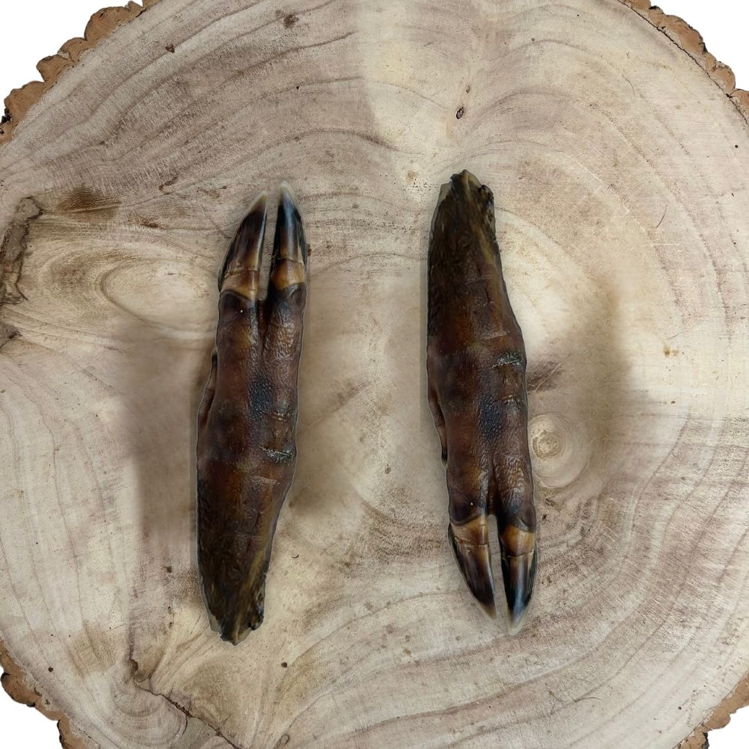 Wild Boar Trotters aka Pigs Feet for Dogs