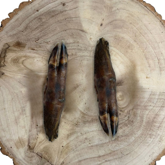 Wild Boar Trotters aka Pigs Feet for Dogs