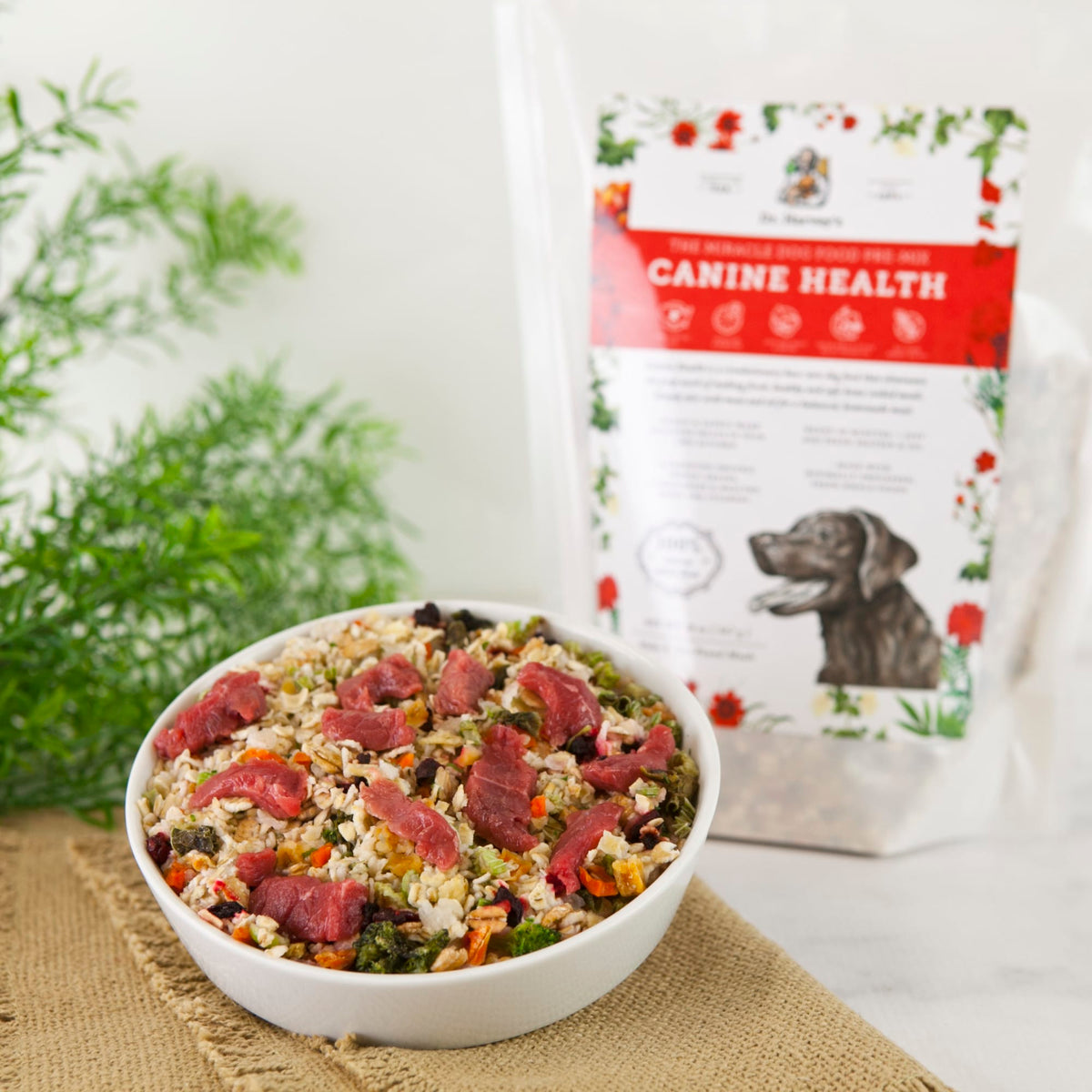 Dr. Harvey's Canine Health Miracle Dog Food, Human Grade Dehydrated Base Mix for Dogs with Organic Whole Grains and Vegetables-Boats n Barks