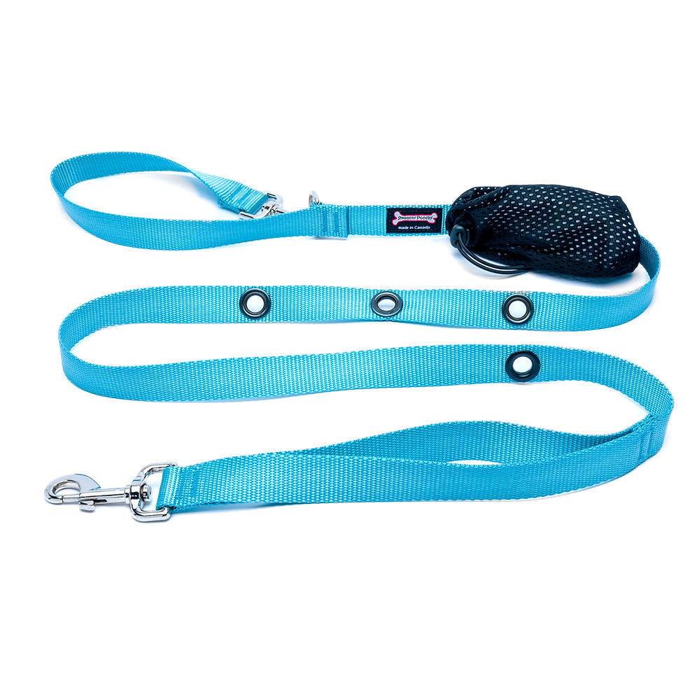 Smoochy Poochy Hands Free Leash 1" x 6ft