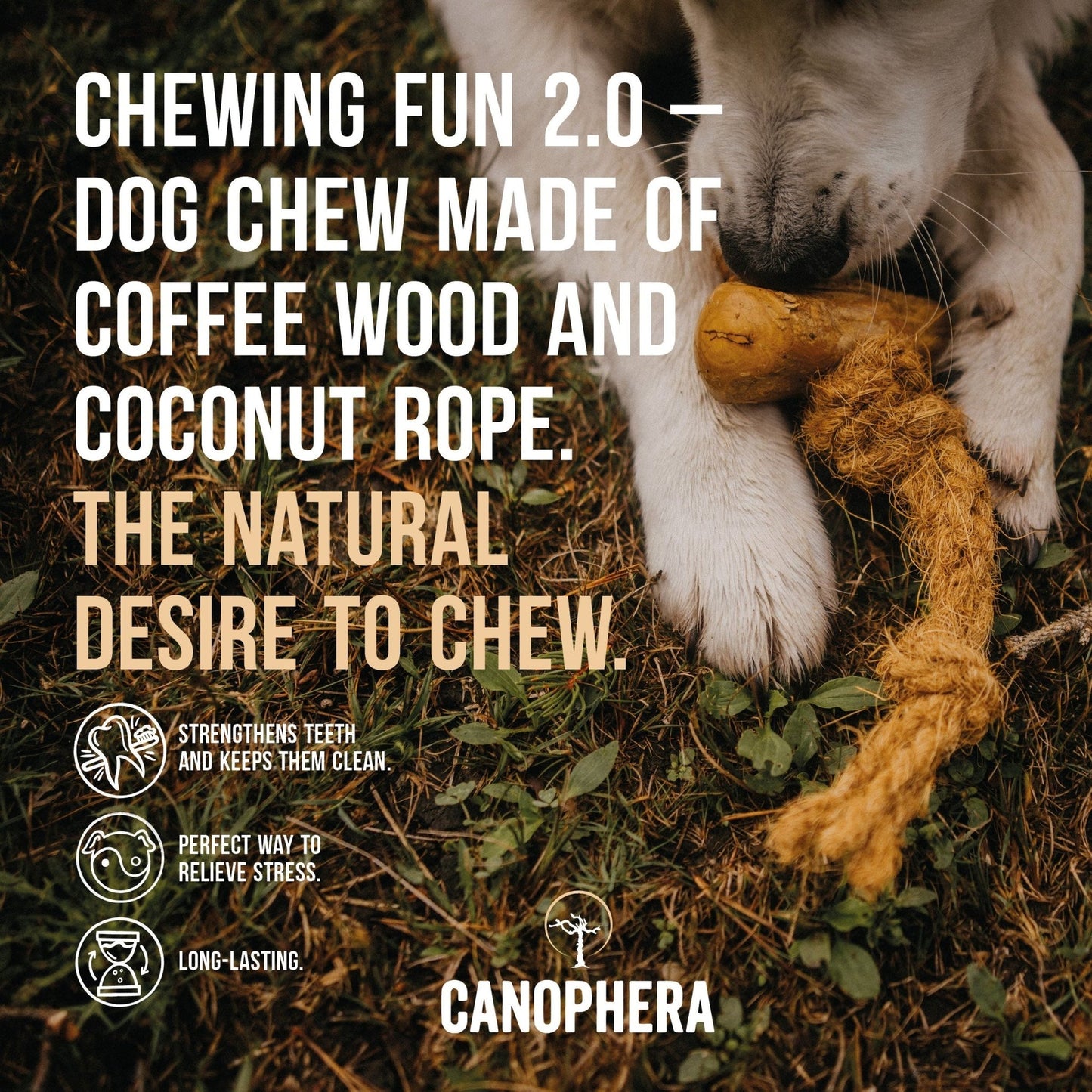 Coffe Wood and Coconut Rope Dog Chew - Various Sizes