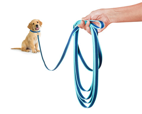 Training Lead for Dogs with Solid Brass Clip -  12ft - Navy with Aqua Trim