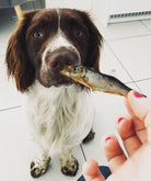 Whole Baltic Sprats (fish) for Dogs 200g-Boats n Barks