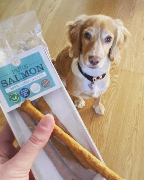 JR Pet Products  UK 100% Pure Salmon Sticks for Dogs