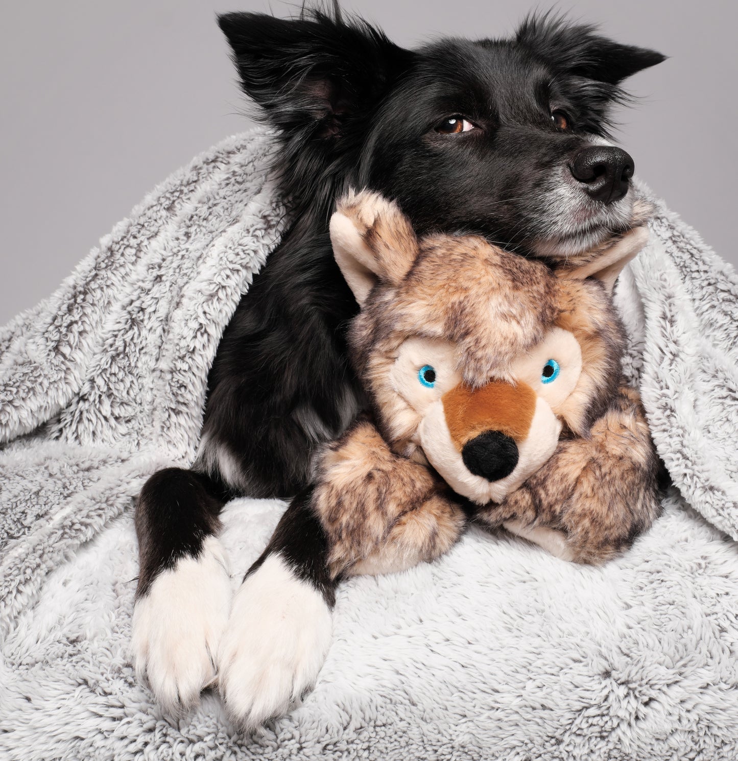 Fluff & Tuff Lobo Wolf Pup Soft Dog Toy with Squeaker Machine Washable 20"