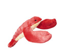 Fluff & Tuff Manny Lobster - Medium Plush Dog Toy-Boats n Barks
