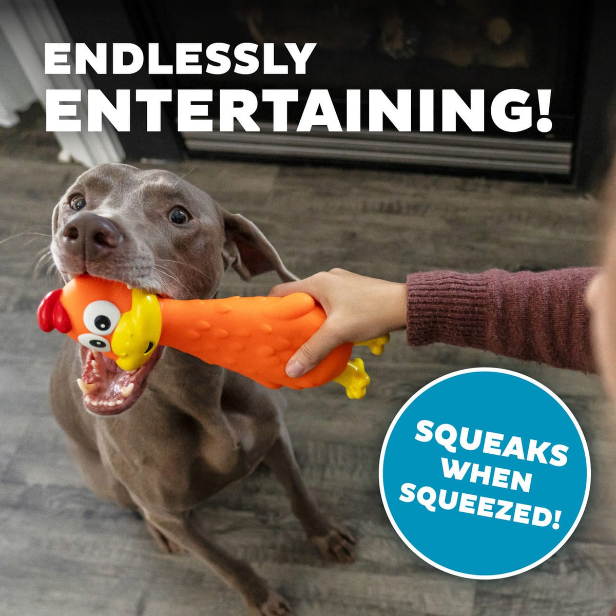 Big Squeak Chicken Dog Toy-Boats n Barks