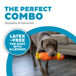 Big Squeak Chicken Dog Toy-Boats n Barks