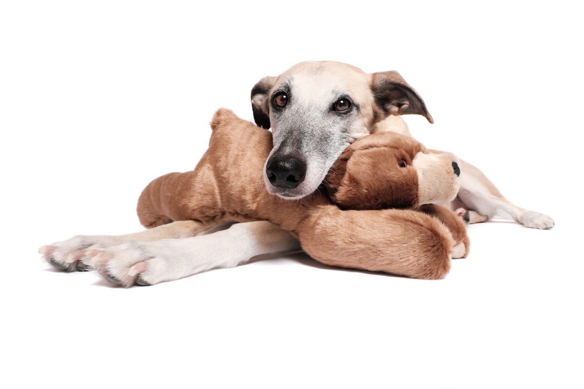 Fluff & Tuff Sadie Bear Extra Large Soft Dog Toy with Squeaker Machine Washable-Boats n Barks