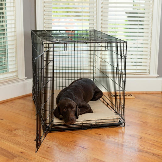Forgiveness Fully Washable Crate Bed For Dogs made in USA