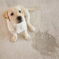 Pure & Natural Dog Stain & Odour Remover 24oz