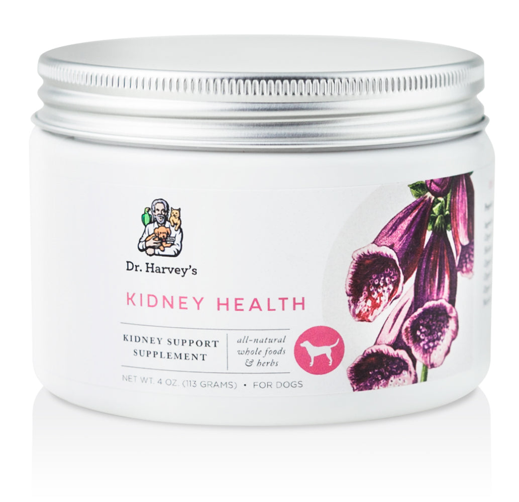 Dr Harvey's Kidney Support Supplement for Dogs