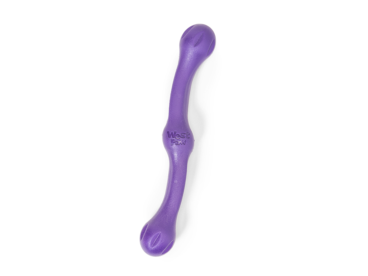 West Paw Zwig Fetch and TugToy for Dogs Floats Too!