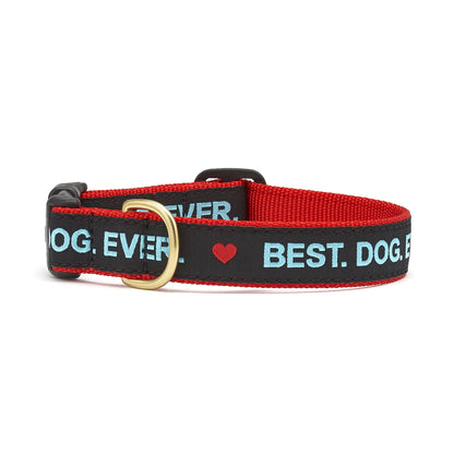 Best Dog Ever Dog Collar 