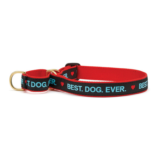 Best Dog Ever Martingale Dog Collar