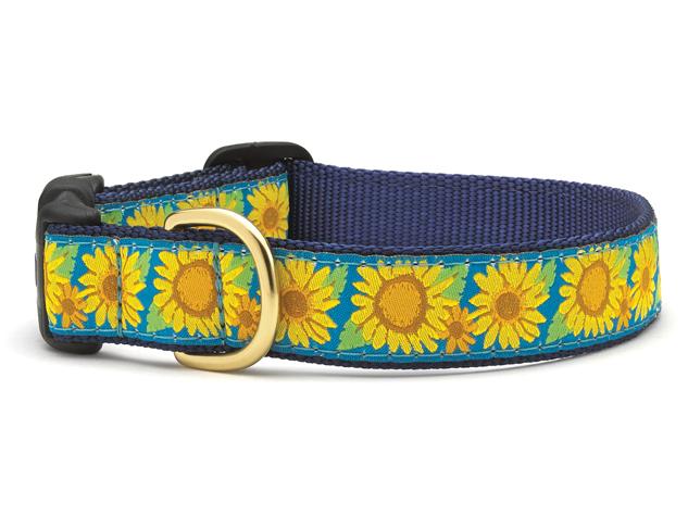 Bright Sunflower Dog Collar by Up Country