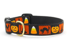 Halloween Pumpkin Dog Collar by Up Country-Boats n Barks