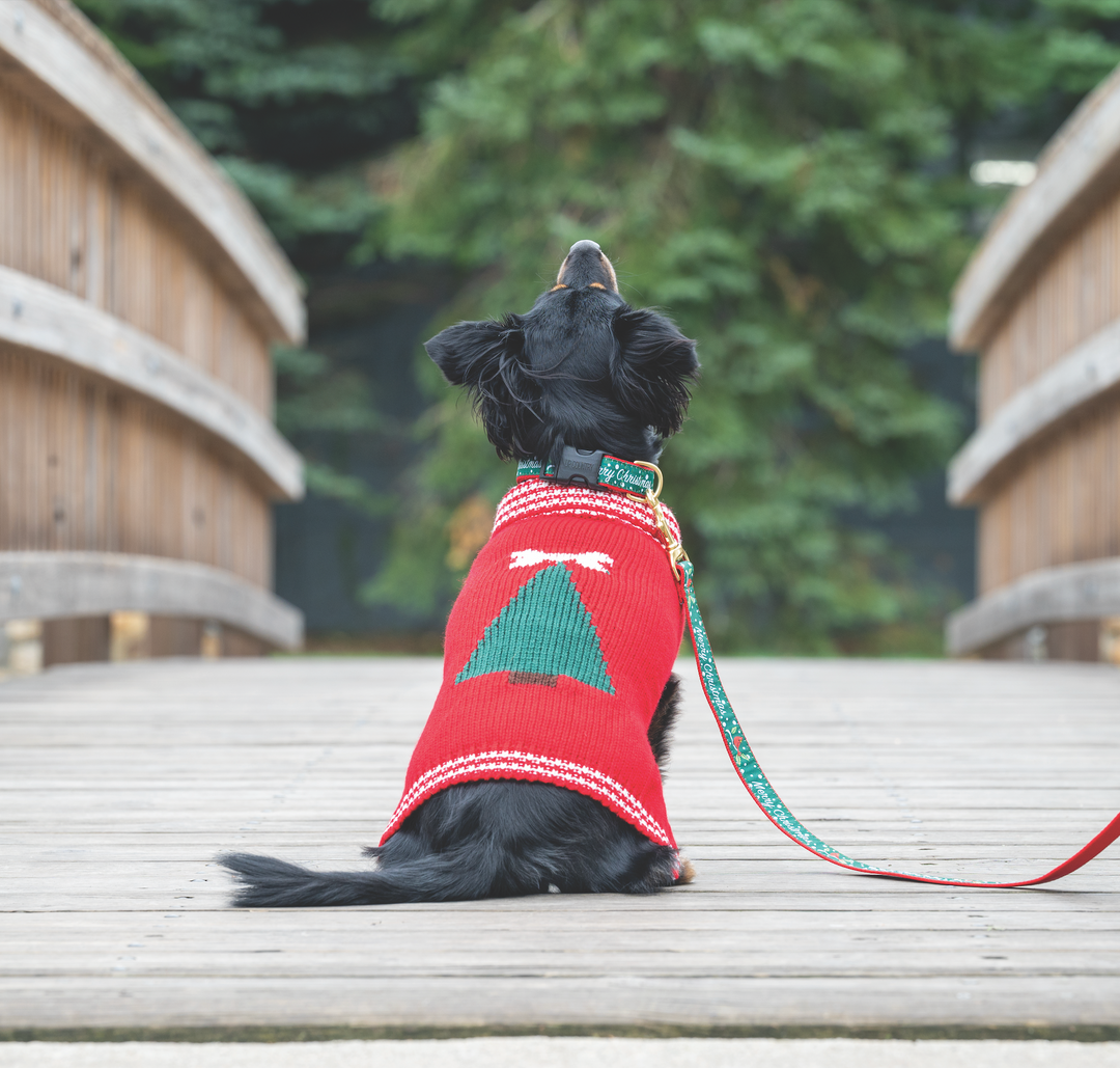 Up Country Red Christmas Tree Dog Sweater