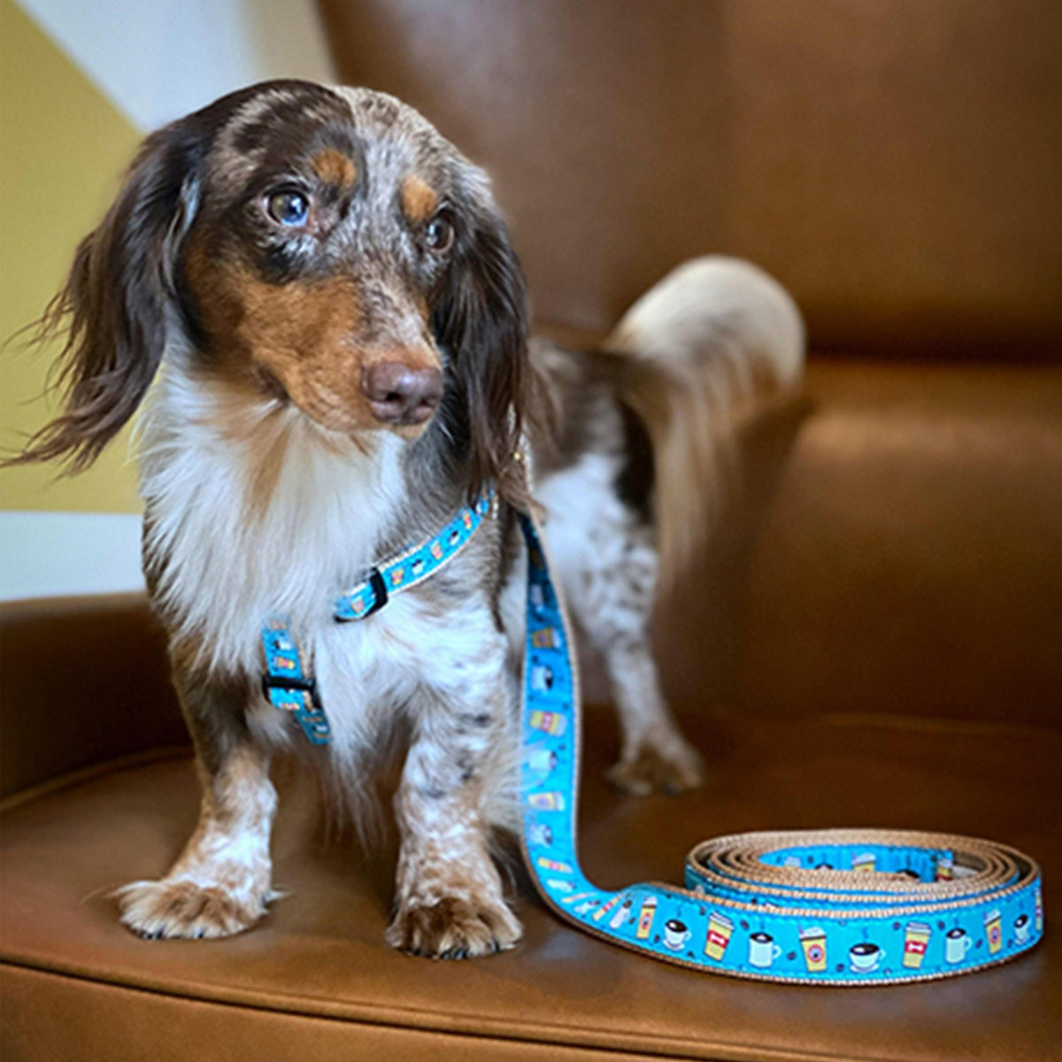Coffee Nut Dog Lead by Up Country-Boats n Barks