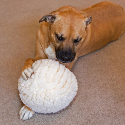 Hugglehounds Fleece Ball with Squeaker for Dogs