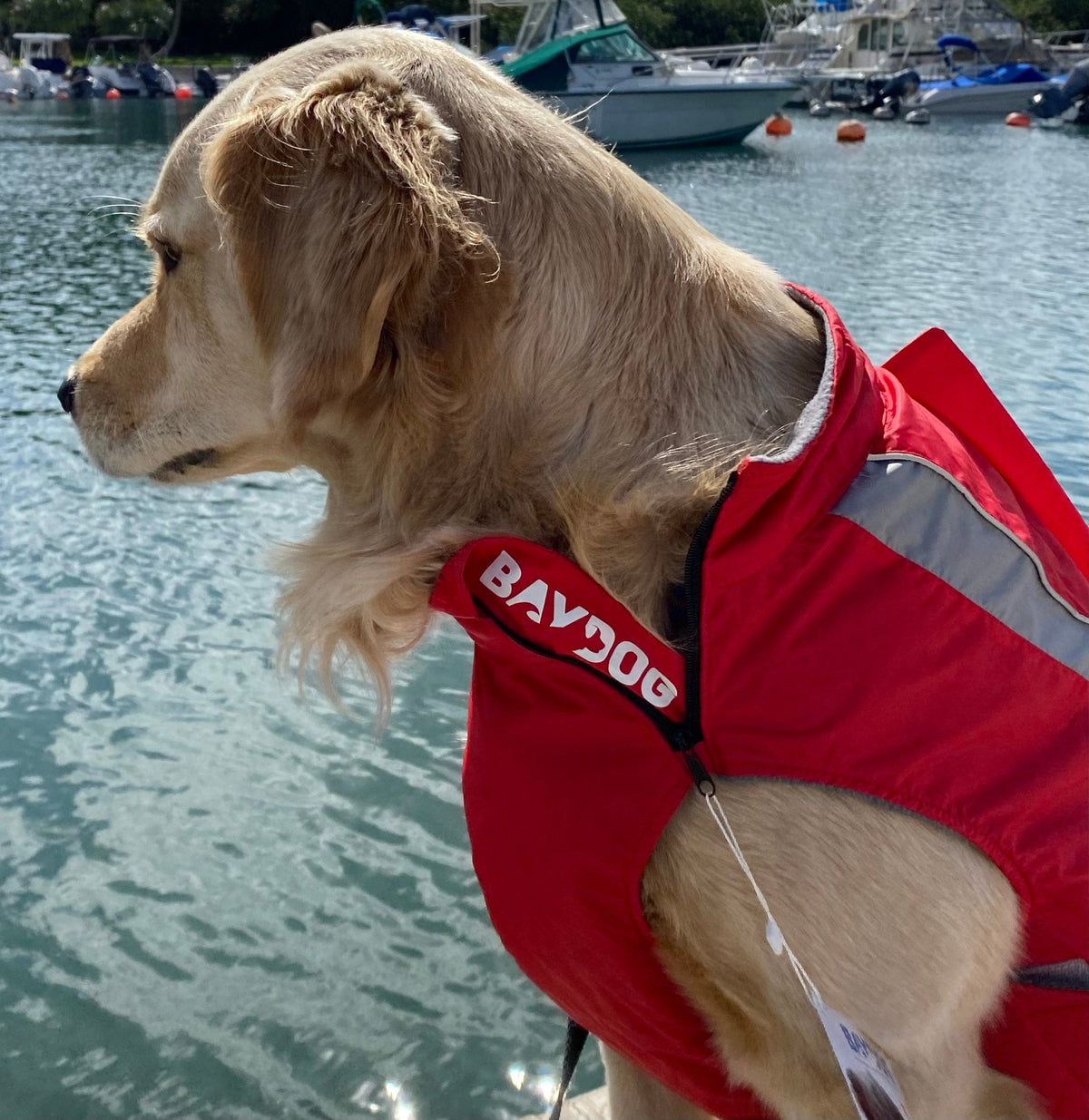 Baydog Saginaw Bay Fleece Lined & Water Repellant Jacket for Dogs-Boats n Barks