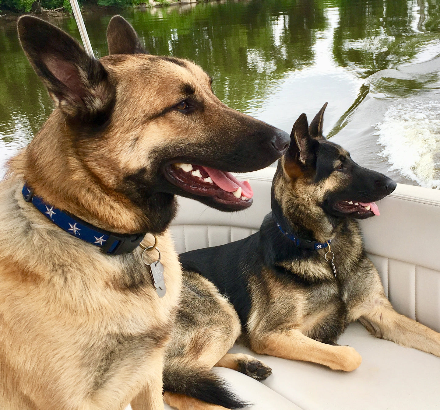 North Star Dog Collar by Up Country