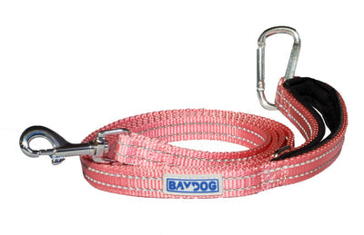 Baydog Pensacola Bay Dog Leash  for Small to Medium Size Dogs 6' long and 5/8" wide Reflective Stitching