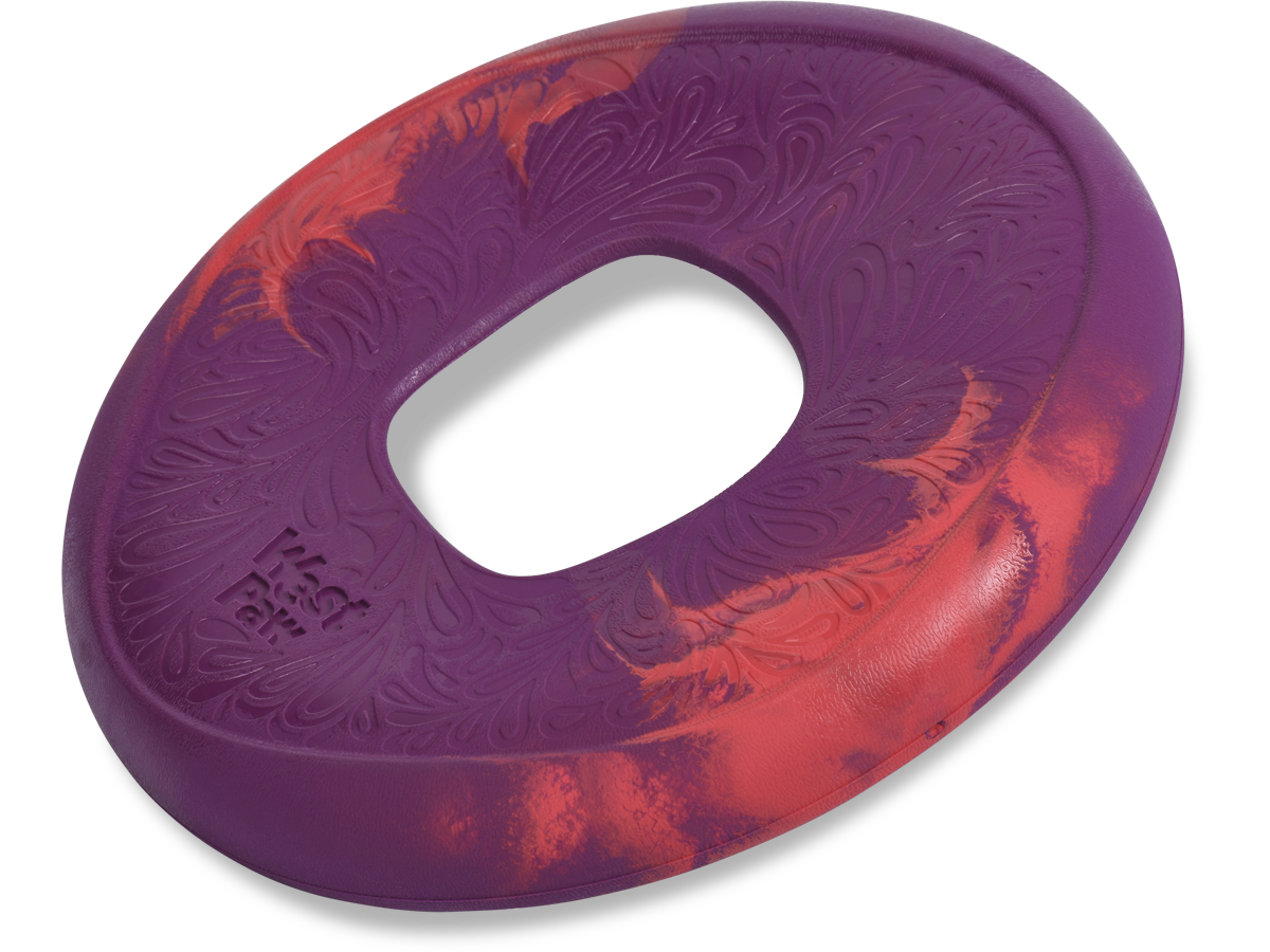 Dog frisbee with hole in center 2025