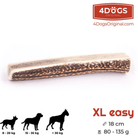 Deer Antlers for Dogs-Medium Density from Poland-Boats n Barks