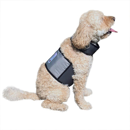 Ice Cooling Vest and Cooling Collar