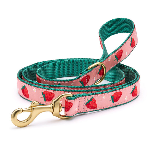 Strawberry Fields Dog Lead by Up Country