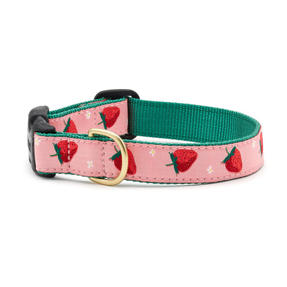 Strawberry Fields Dog Collar by Up Country